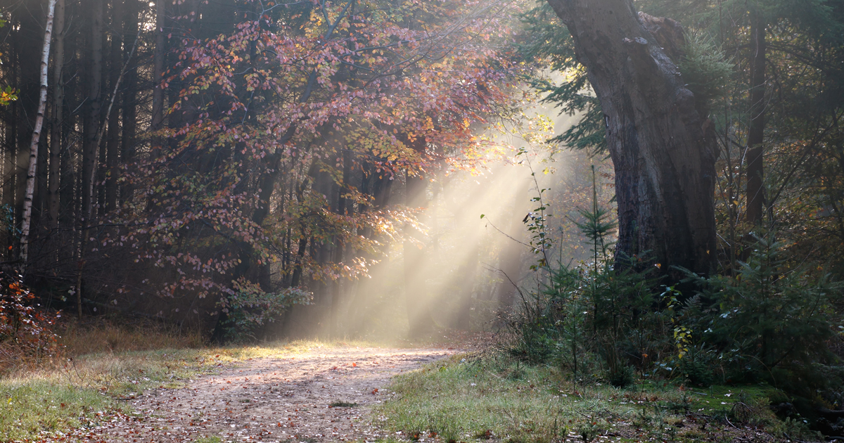 How Faith-Based Coaching Support Can Anchor You Through Life’s Storms